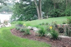 Landscape Planting Backyard